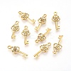 Tibetan Style Alloy Pendant GLF8363Y-1