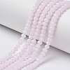 Glass Beads Strands EGLA-A034-J3mm-D02-1