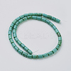 Natural Magnesite Beads Strands TURQ-K003-21D-3
