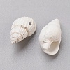Spiral Shell Beads BSHE-L037-03-2