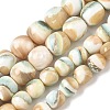 Natural Seashell Shell Beads Strands SH-CBAFEDD-01A-1