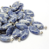 Horse Eye Natural Blue Spot Jasper Pendants G-Q363-16-1