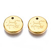 316 Surgical Stainless Steel Charms STAS-S116-418H-G-2