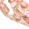 Electroplate Glass Beads Strands EGLA-L018-C-FR01-2