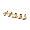 5Pcs 304 Stainless Steel Charms STAS-M017-14G-2