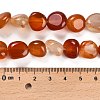 Natural Carnelian Beads Strands G-L595-B01-01-5
