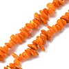 Natural Freshwater Shell Beads Strands BSHE-I016-01C-1