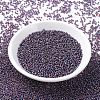 MIYUKI Round Rocailles Beads SEED-X0054-RR1013-2