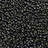MIYUKI Round Rocailles Beads SEED-X0055-RR2447-3