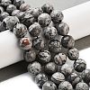 Natural Map Stone/Picasso Stone/Picasso Jasper Strands X-G-G099-10mm-27-5