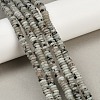 Natural Sesame Jasper Beads Strands G-Q159-B27-01-1