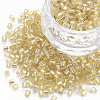 8/0 Glass Bugle Beads SEED-S032-07A-22-1