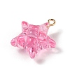 Transparent Resin Pendants LS-RESI-Z016-02D-LG-2