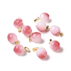 Opaque Spray Painted Glass Pendants GLAA-I050-14B-1