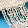 Natural Cultured Freshwater Pearl Beads Strands PEAR-L034-13C-1