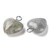 Natural Labradorite Pendants G-E603-01P-08-3