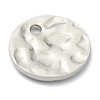 Tarnish Resistant 304 Stainless Steel Charms STAS-H157-03C-P-3