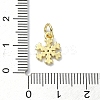 Brass Micro Pave Clear Cubic Zirconia Charms LS-KK-H475-55G-01-3
