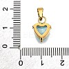 304 Stainless Steel Micro Pave Cubic Zirconia Pendants STAS-B086-13G-03-3