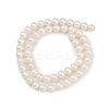 Natural Cultured Freshwater Pearl Beads Strands PEAR-I007-07X-04A-3