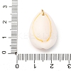 Printed Natural Cowrie Shell Pendants STAS-Z168-03G-06-3