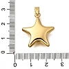 304 Stainless Steel Pendants LS-BJEW-H200-09G-02-3