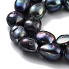 Dyed Natural Cultured Freshwater Pearl Beads Strands PEAR-P062-36C-4