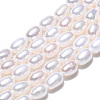 Natural Cultured Freshwater Pearl Beads Strands PEAR-N012-04K-4
