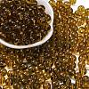 Transparent Colours Glass Seed Beads SEED-Z004-T8MM-05-1