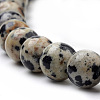 Natural Dalmatian Jasper Beads Strands G-S259-24-10mm-3