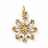 Rack Plating Brass Micro Pave Cubic Zirconia Charms ZIRC-F129-34E-G-1