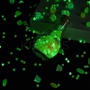 Luminous Acrylic Beads Wish Bottle DIY Making Kits DIY-FS0007-58-8