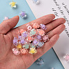 Transparent Acrylic Beads LS-TACR-S152-02A-5