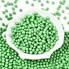 Opaque Baking Paint Glass Beads DGLA-T004-02P-1