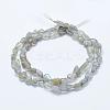 Natural Labradorite Beads Strands G-K203-12-2