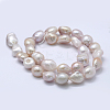 Natural Cultured Freshwater Pearl Beads Strands PEAR-K004-05B-01-2