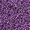 MIYUKI Delica Beads SEED-MY11-DB2508-2