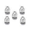 Non-Tarnish 304 Stainless Steel Charms LS-STAS-N099-27-2
