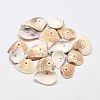 Dyed Natural Ark Shell Beads BSHE-O007-61B-1