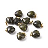Natural Dragon Blood Pendants G-I311-A05-G-3