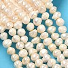 Natural Cultured Freshwater Pearl Beads Strands PEAR-L034-12F-1