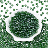 500Pcs Transparent Glass Seed Beads SEED-PA0001-08C-1