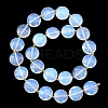 Opalite Beads Strands G-A292-A02-01-4