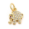 Rack Plating Brass Micro Pave Cubic Zirconia Charms KK-K270-17G-1