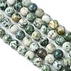 Natural Tree Agate Round Gemstone Beads Strands G-R255-10mm-3