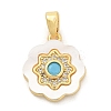 Brass Micro Pave Cubic Zirconia Pendents KK-M303-02G-09-1