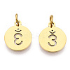 304 Stainless Steel Charms STAS-Q201-T446G-04-1