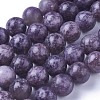 Natural Lepidolite/Purple Mica Stone Beads Strands G-I244-01A-1