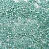 Glass Seed Beads SEED-M011-01A-13-3