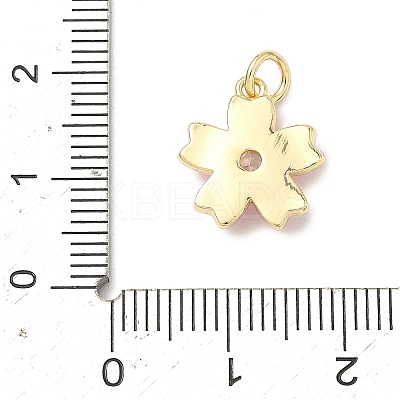 Brass Pave Clear Cubic Zirconia Pendants LS-KK-H255-06G-02-1